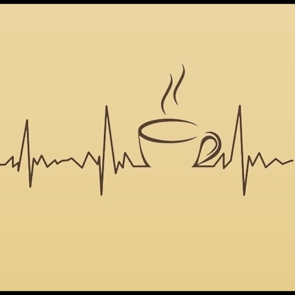 Meet your Posher, Jemma - Picture 1 of 1